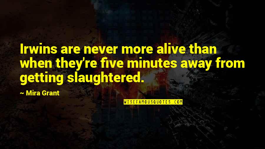 Sandra Schneiders Quotes By Mira Grant: Irwins are never more alive than when they're Sandra Schneiders Quotes By Mira Grant: Irwins are never more alive than when they're