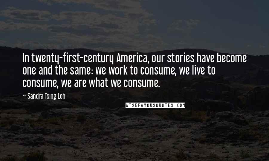 Sandra Tsing Loh quotes: In twenty-first-century America, our stories have become one and the same: we work to consume, we live to consume, we are what we consume.
