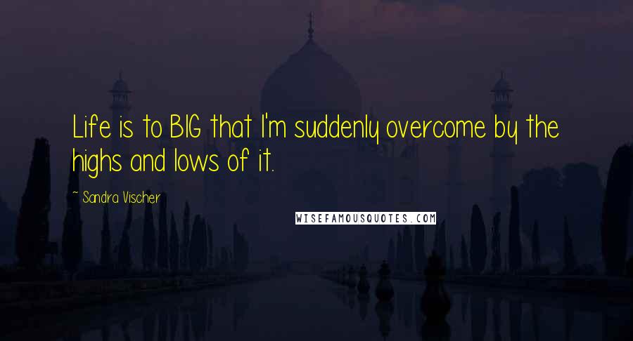 Sandra Vischer quotes: Life is to BIG that I'm suddenly overcome by the highs and lows of it.