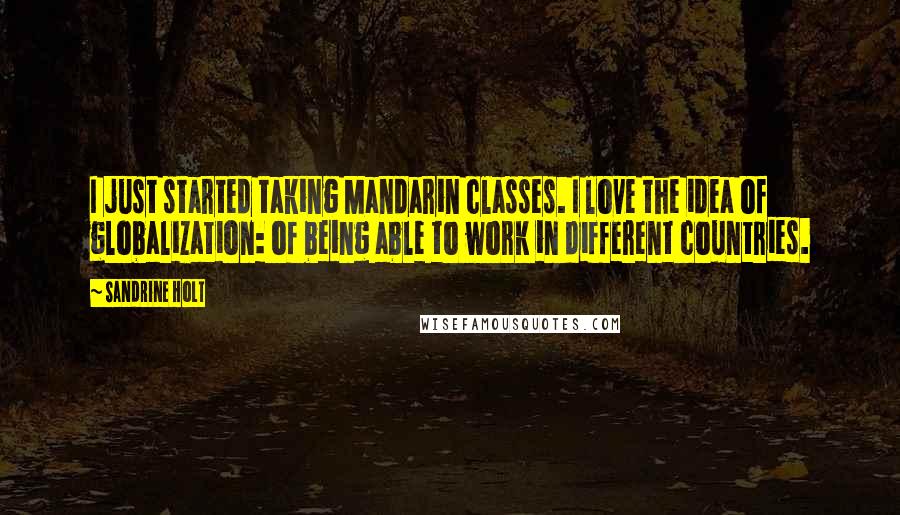 Sandrine Holt quotes: I just started taking Mandarin classes. I love the idea of globalization: of being able to work in different countries.