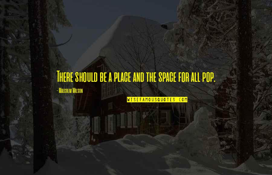 Sandro Veronesi Quotes By Malcolm Wilson: There should be a place and the space