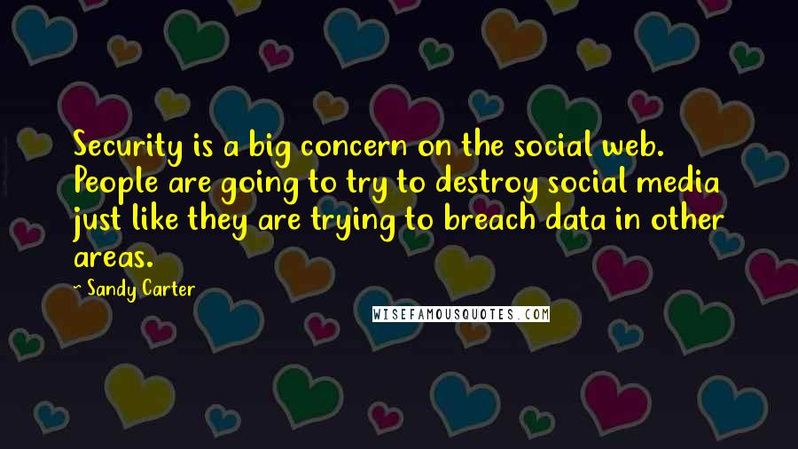 Sandy Carter quotes: Security is a big concern on the social web. People are going to try to destroy social media just like they are trying to breach data in other areas.