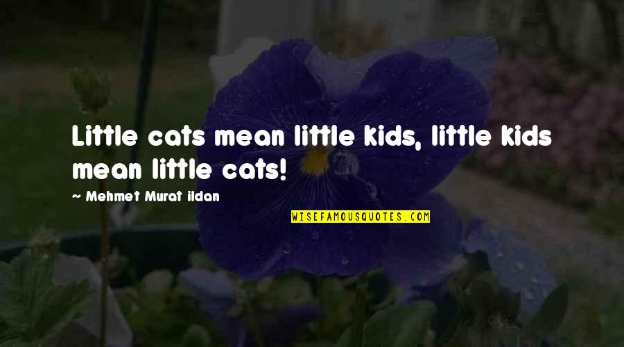 Sandymount Park Quotes By Mehmet Murat Ildan: Little cats mean little kids, little kids mean
