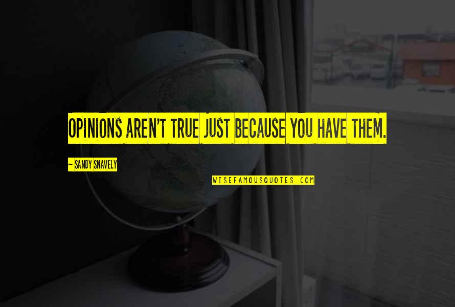 Sandy's Quotes By Sandy Snavely: Opinions aren't true just because you have them.