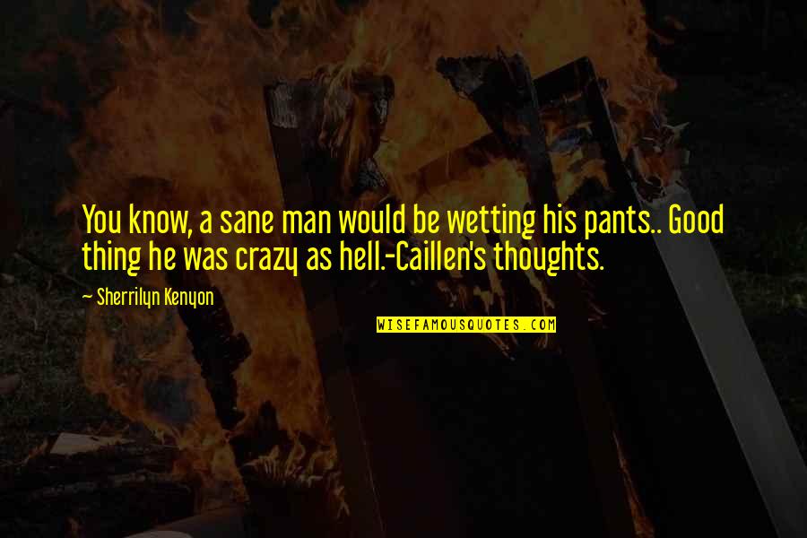 Sane Insane Quotes By Sherrilyn Kenyon: You know, a sane man would be wetting Sane Insane Quotes By Sherrilyn Kenyon: You know, a sane man would be wetting
