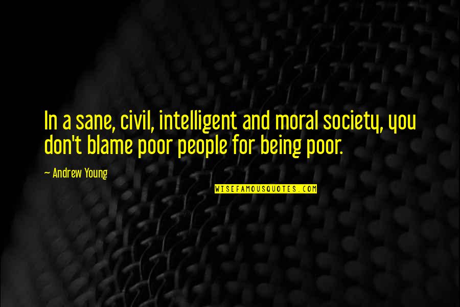 Sane Society Quotes By Andrew Young: In a sane, civil, intelligent and moral society,