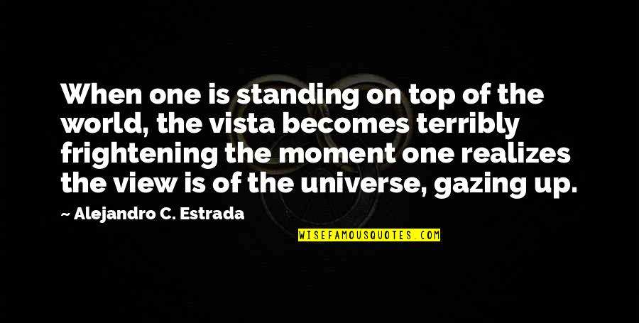 Saneness Quotes By Alejandro C. Estrada: When one is standing on top of the