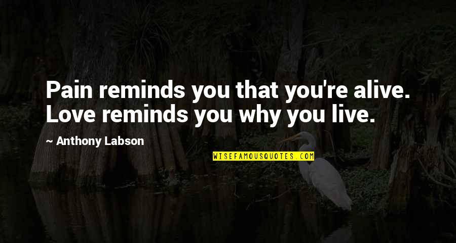 Sanering Quotes By Anthony Labson: Pain reminds you that you're alive. Love reminds