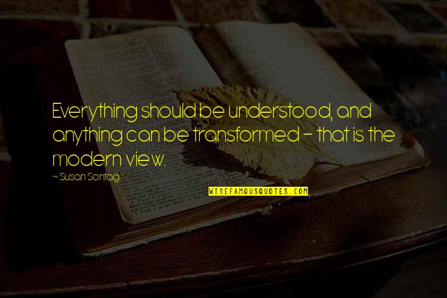 Sanfona Instrumento Quotes By Susan Sontag: Everything should be understood, and anything can be