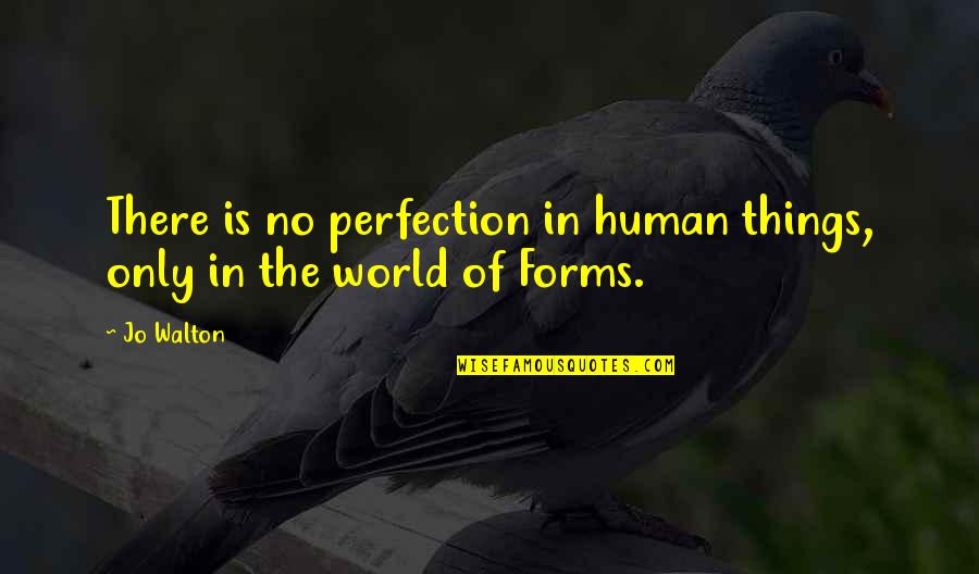 Sang Bui Quotes By Jo Walton: There is no perfection in human things, only