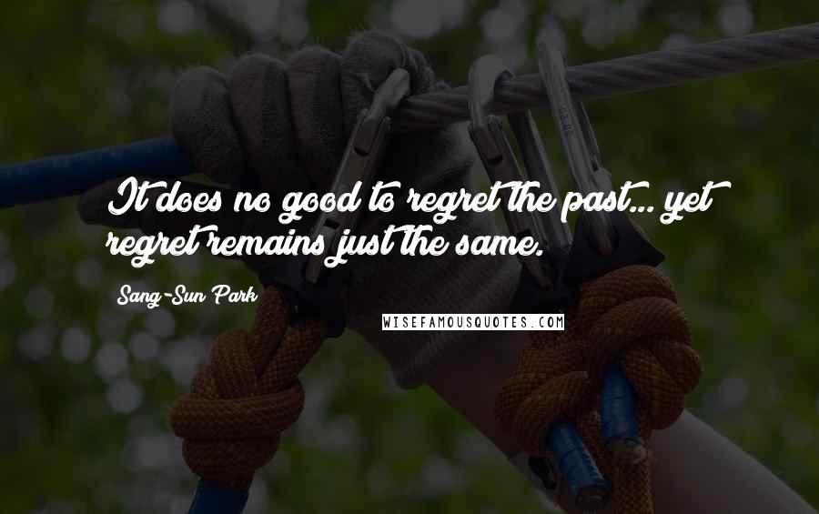 Sang-Sun Park quotes: It does no good to regret the past... yet regret remains just the same.