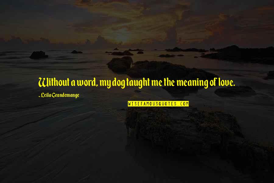 Sangkan Quotes By Leila Grandemange: Without a word, my dog taught me the Sangkan Quotes By Leila Grandemange: Without a word, my dog taught me the