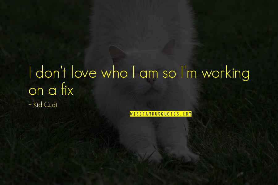 Sangkatauhan Kahulugan Quotes By Kid Cudi: I don't love who I am so I'm