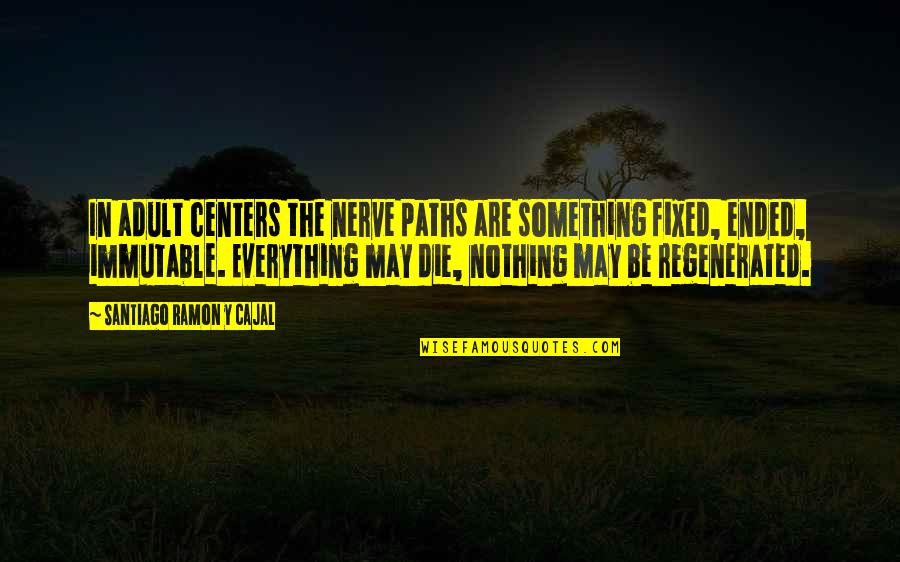 Sanguine Choleric Quotes By Santiago Ramon Y Cajal: In adult centers the nerve paths are something Sanguine Choleric Quotes By Santiago Ramon Y Cajal: In adult centers the nerve paths are something