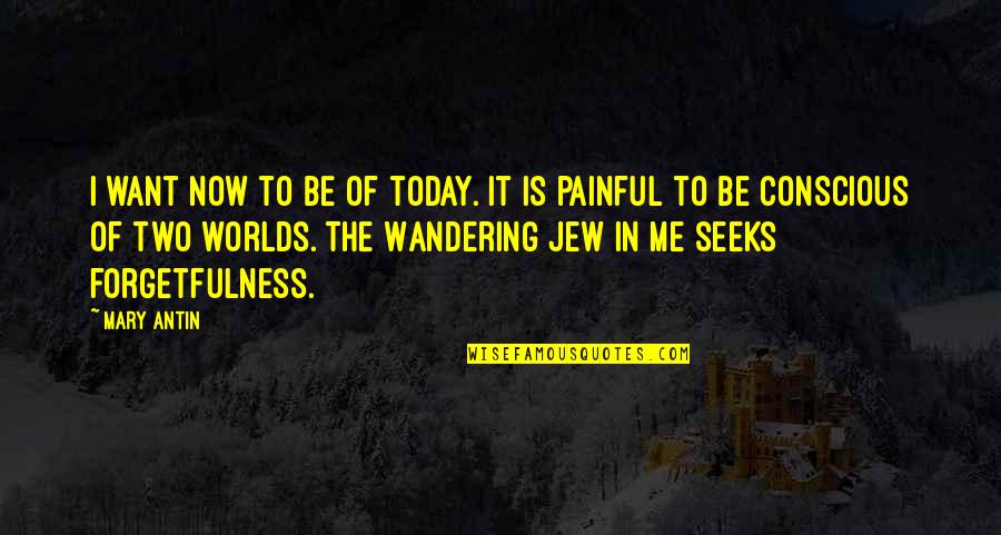 Saniah Tyler Quotes By Mary Antin: I want now to be of today. It Saniah Tyler Quotes By Mary Antin: I want now to be of today. It