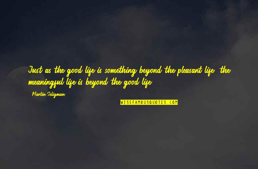 Sanirad Quotes By Martin Seligman: Just as the good life is something beyond Sanirad Quotes By Martin Seligman: Just as the good life is something beyond