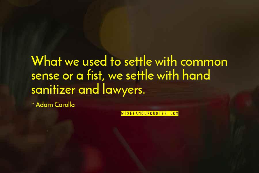 Sanitizer Quotes By Adam Carolla: What we used to settle with common sense