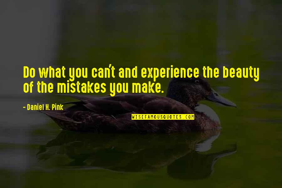 Sanjar Khan Quotes By Daniel H. Pink: Do what you can't and experience the beauty