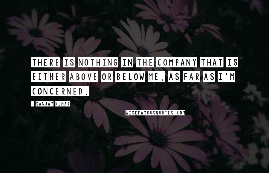 Sanjay Kumar quotes: There is nothing in the company that is either above or below me, as far as I'm concerned.