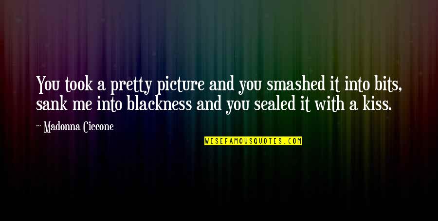 Sank Quotes By Madonna Ciccone: You took a pretty picture and you smashed
