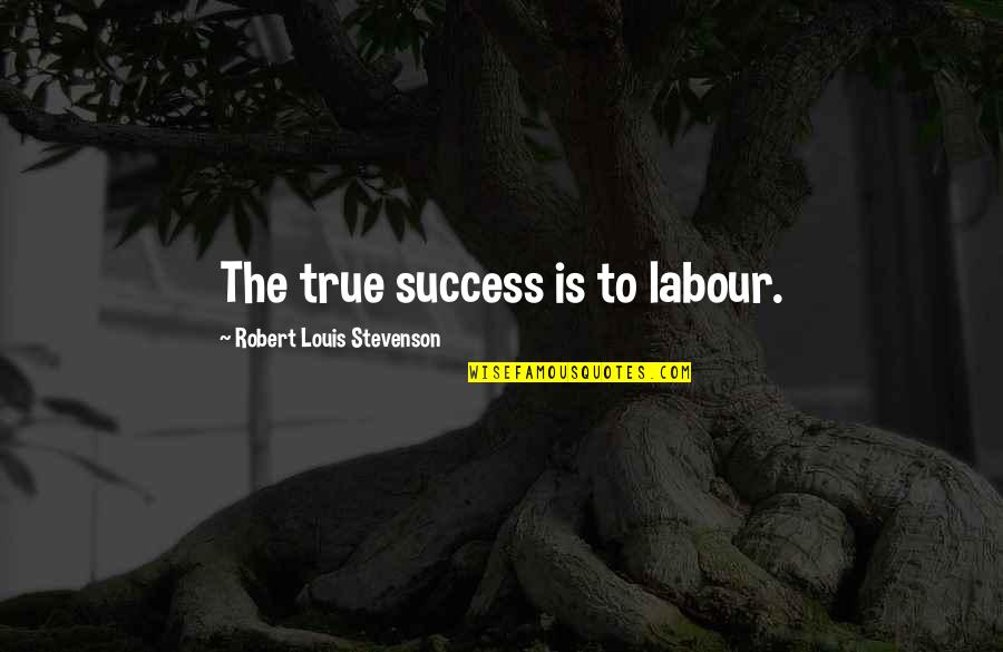 Sanlam Indie Quote Quotes By Robert Louis Stevenson: The true success is to labour.