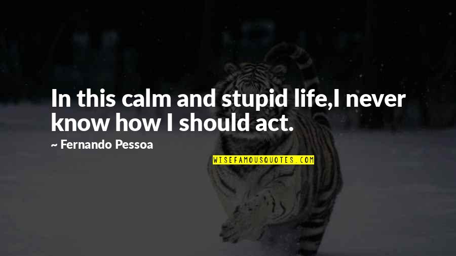 Sanni Quotes By Fernando Pessoa: In this calm and stupid life,I never know