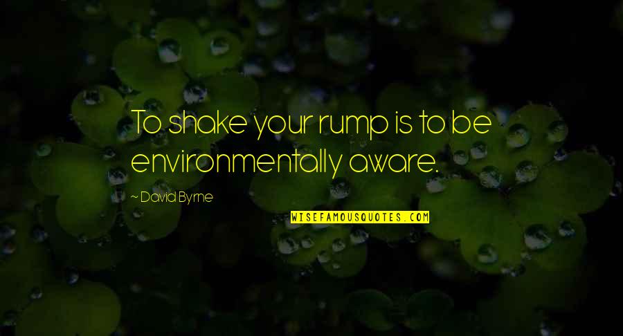 Sant Dnyaneshwar Quotes By David Byrne: To shake your rump is to be environmentally