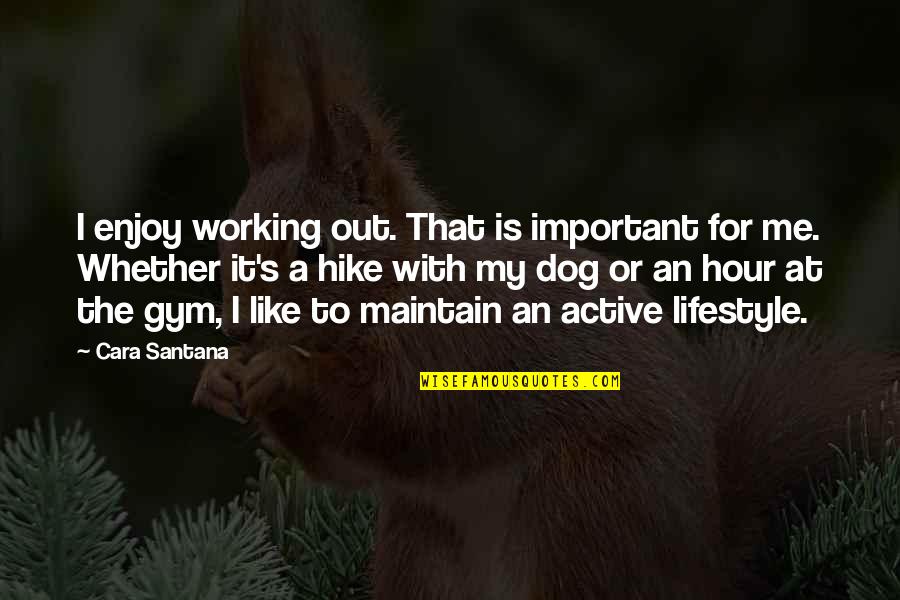 Santana's Quotes By Cara Santana: I enjoy working out. That is important for