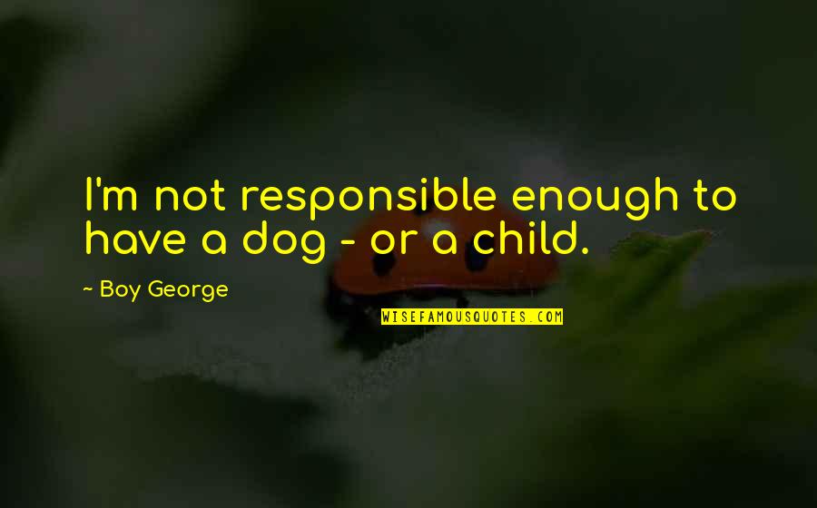Santhi Periasamy Quotes By Boy George: I'm not responsible enough to have a dog