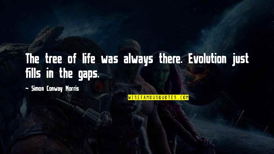 Santiago And Manolin Relationship Quotes By Simon Conway Morris: The tree of life was always there. Evolution Santiago And Manolin Relationship Quotes By Simon Conway Morris: The tree of life was always there. Evolution