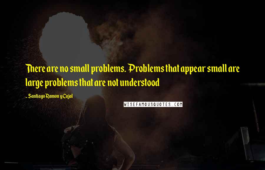 Santiago Ramon Y Cajal quotes: There are no small problems. Problems that appear small are large problems that are not understood