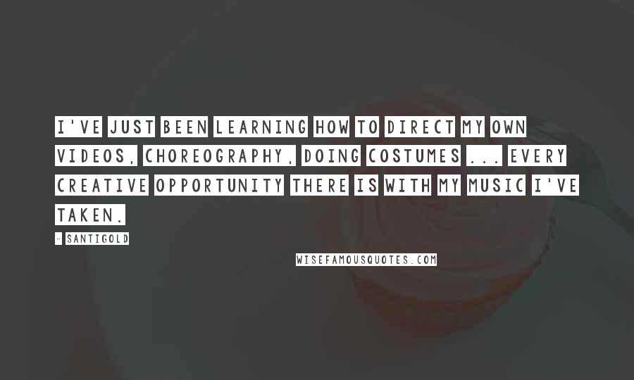 Santigold quotes: I've just been learning how to direct my own videos, choreography, doing costumes ... every creative opportunity there is with my music I've taken.