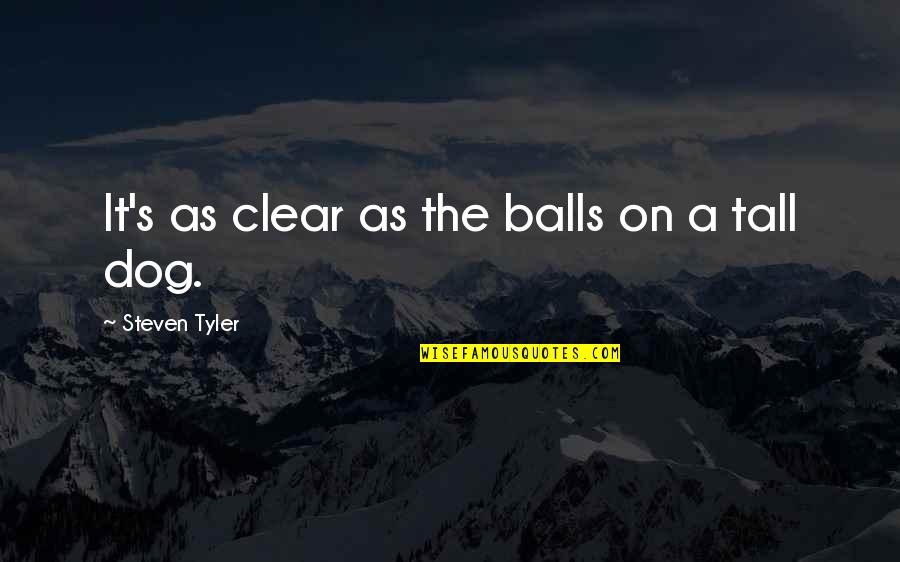 Santi's Quotes By Steven Tyler: It's as clear as the balls on a