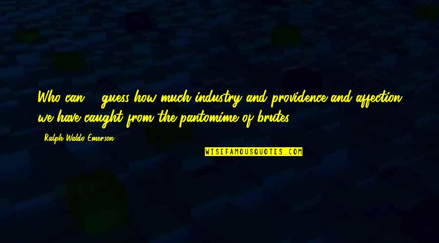 Santlofer Glen Quotes By Ralph Waldo Emerson: Who can ... guess how much industry and Santlofer Glen Quotes By Ralph Waldo Emerson: Who can ... guess how much industry and