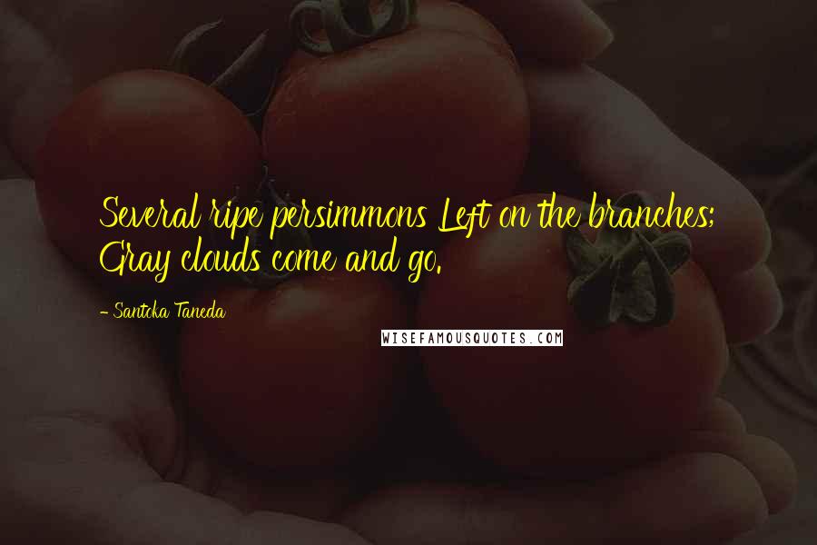 Santoka Taneda quotes: Several ripe persimmons Left on the branches; Gray clouds come and go.