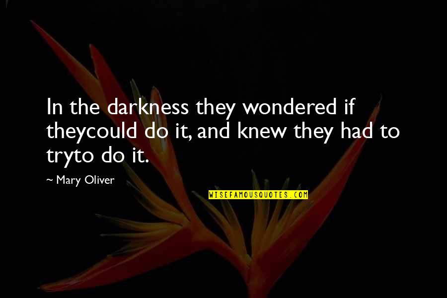 Sanyukta And Premvati Quotes By Mary Oliver: In the darkness they wondered if theycould do
