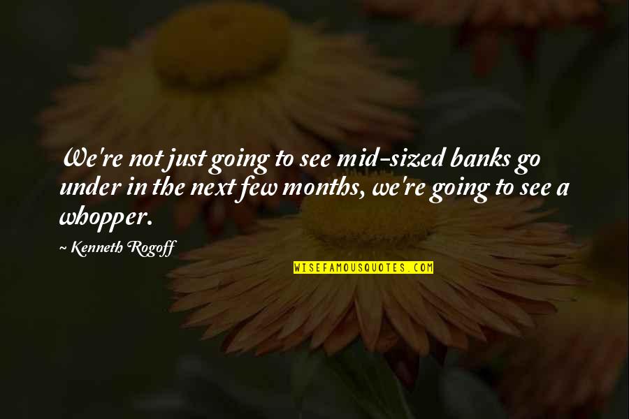 Sanyukta Quotes By Kenneth Rogoff: We're not just going to see mid-sized banks