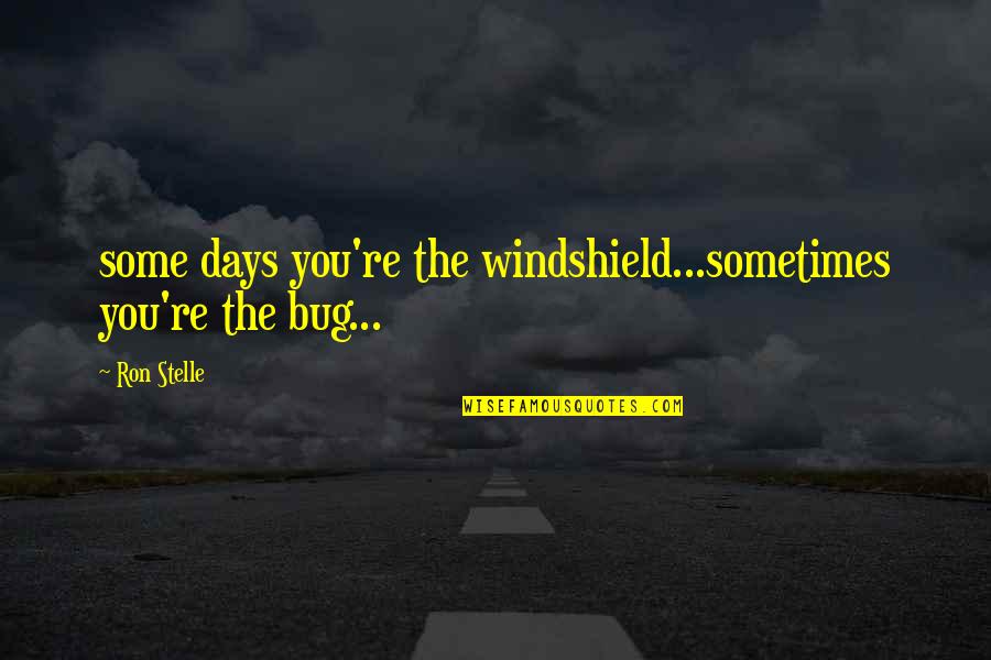Sanziene Quotes By Ron Stelle: some days you're the windshield...sometimes you're the bug...