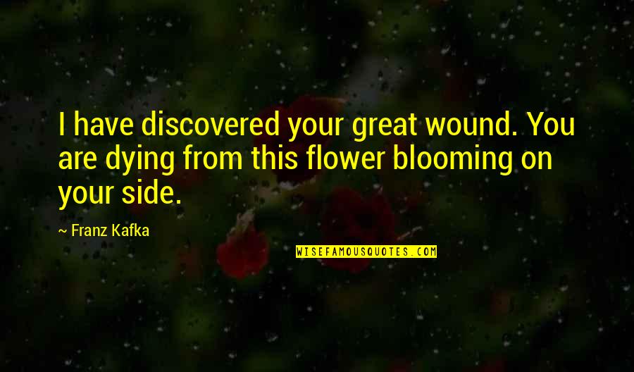 Saoussen Cheddadi Quotes By Franz Kafka: I have discovered your great wound. You are Saoussen Cheddadi Quotes By Franz Kafka: I have discovered your great wound. You are