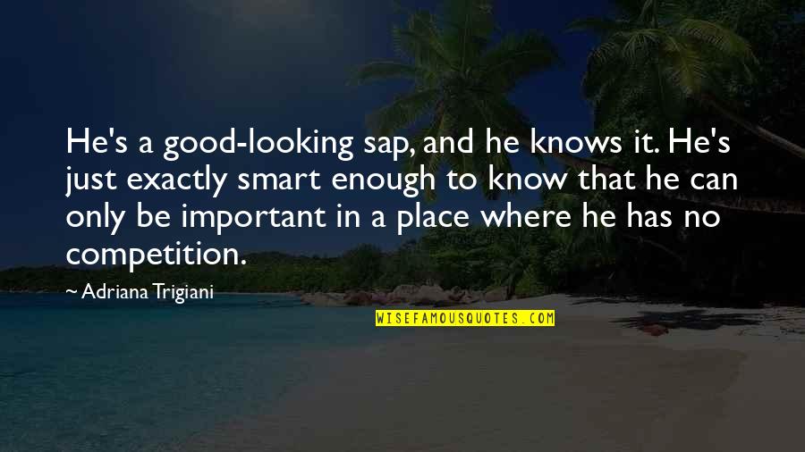 Sap Quotes By Adriana Trigiani: He's a good-looking sap, and he knows it.