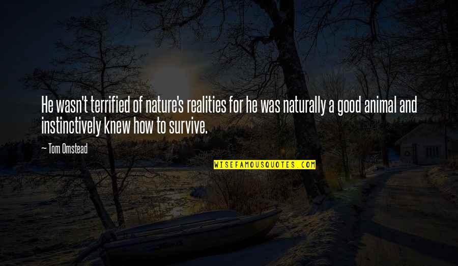 Sapand Quotes By Tom Omstead: He wasn't terrified of nature's realities for he Sapand Quotes By Tom Omstead: He wasn't terrified of nature's realities for he
