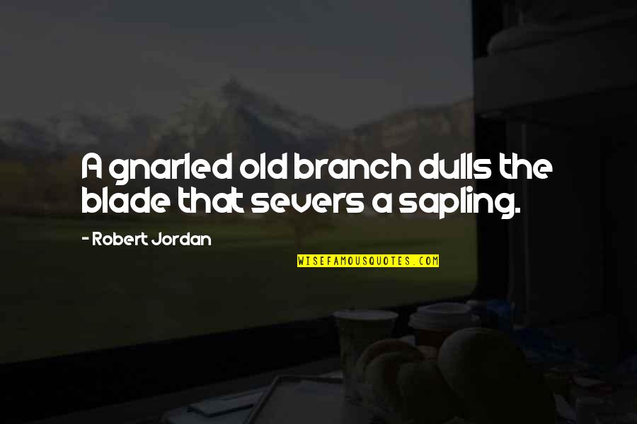 Saplings Quotes By Robert Jordan: A gnarled old branch dulls the blade that Saplings Quotes By Robert Jordan: A gnarled old branch dulls the blade that
