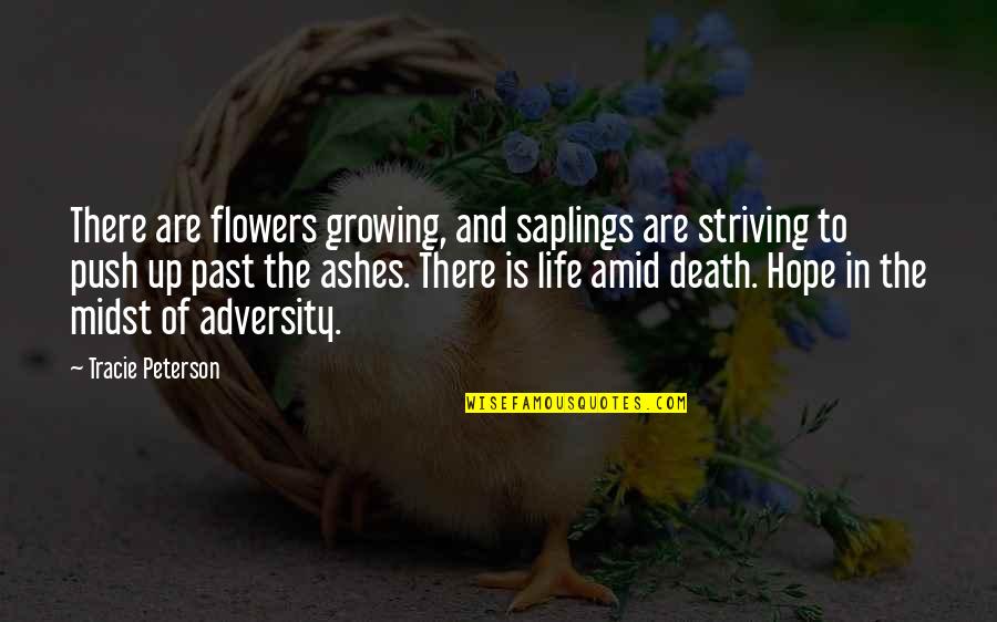 Saplings Quotes By Tracie Peterson: There are flowers growing, and saplings are striving Saplings Quotes By Tracie Peterson: There are flowers growing, and saplings are striving