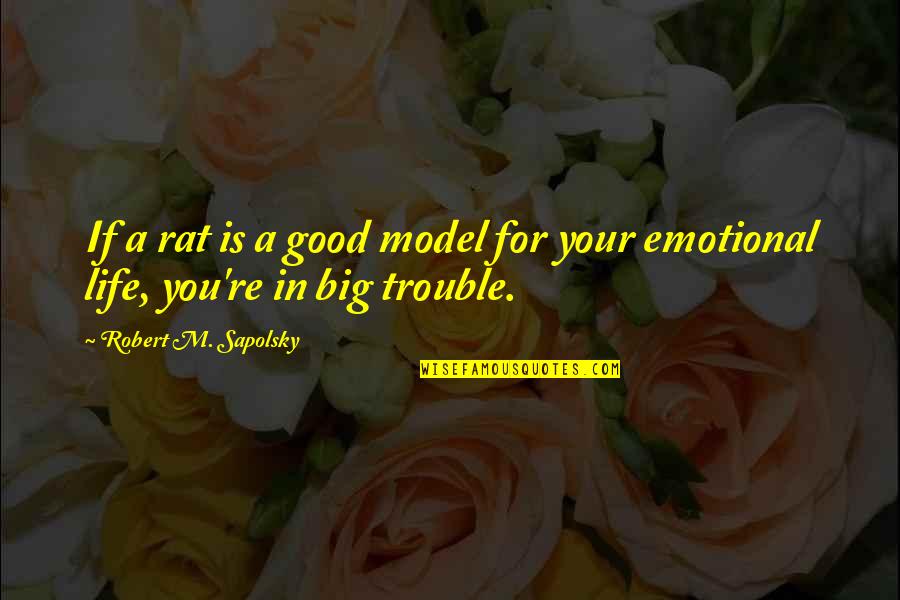 Sapolsky Quotes By Robert M. Sapolsky: If a rat is a good model for