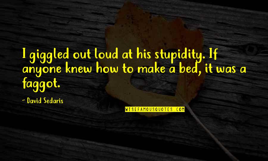 Sapphire Blue Kerstin Gier Quotes By David Sedaris: I giggled out loud at his stupidity. If