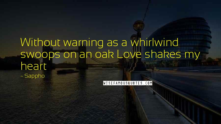 Sappho quotes: Without warning as a whirlwind swoops on an oak Love shakes my heart