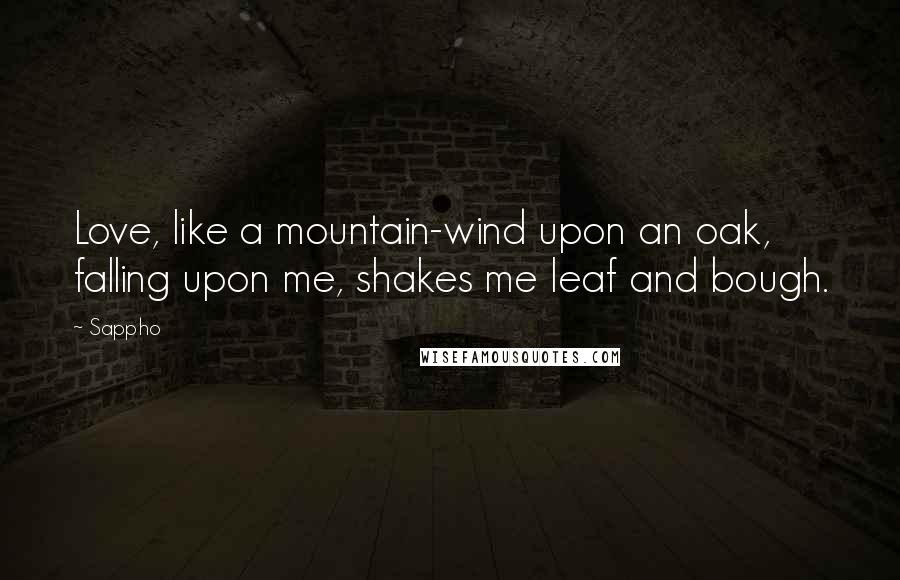 Sappho quotes: Love, like a mountain-wind upon an oak, falling upon me, shakes me leaf and bough.