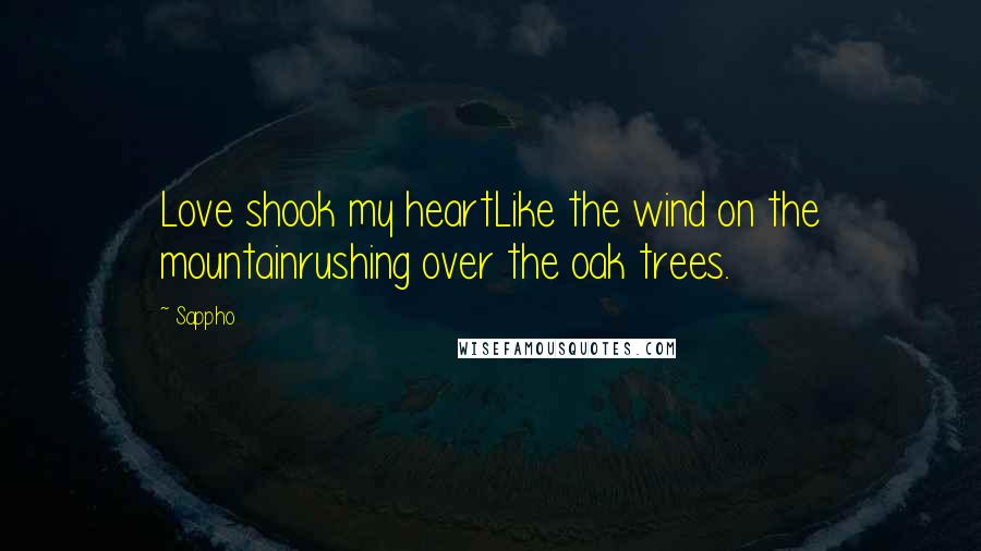 Sappho quotes: Love shook my heartLike the wind on the mountainrushing over the oak trees.
