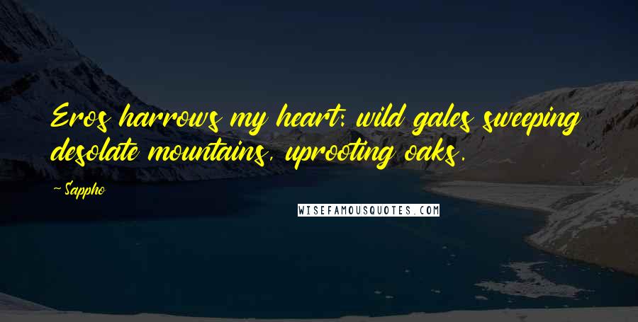 Sappho quotes: Eros harrows my heart: wild gales sweeping desolate mountains, uprooting oaks.