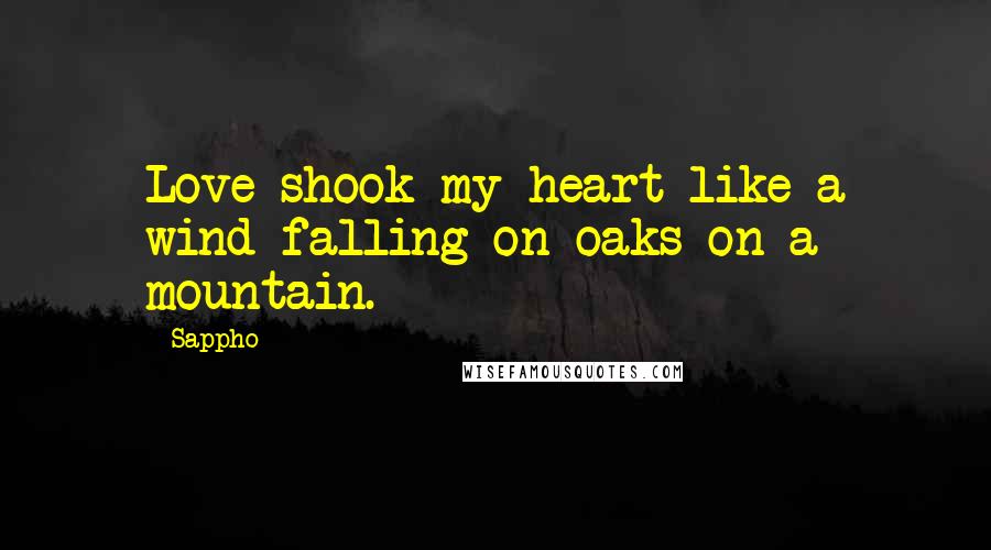 Sappho quotes: Love shook my heart like a wind falling on oaks on a mountain.